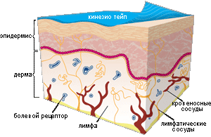 kinesio_skin